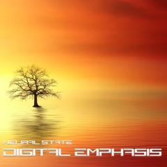 Digital Emphasis