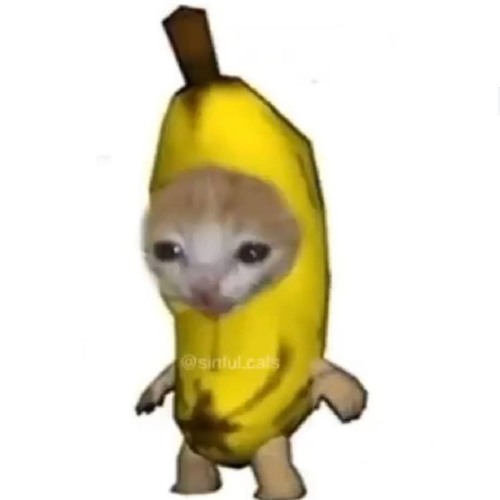 bruh