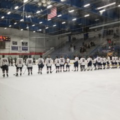 Stangs