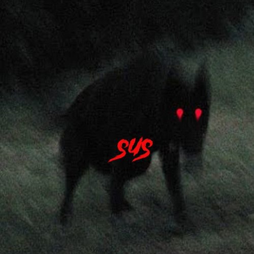 WOOD$PRINGSHELL Prod. Dxsire
