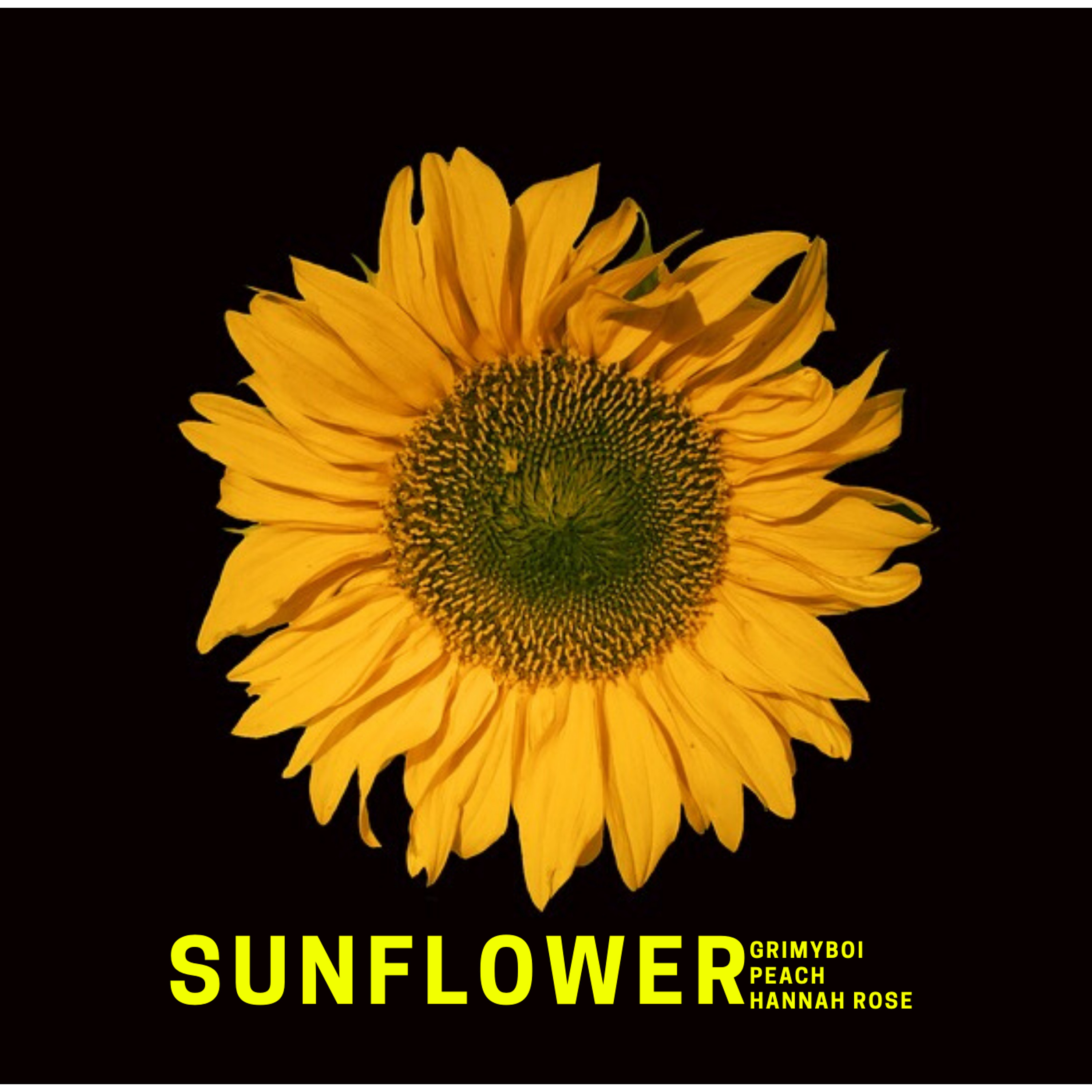 SUNFLOWER feat. A'Doria & Hannah Rose (prod. GRIMYBOI) episode artwork