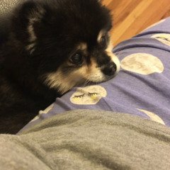 Traitor Joe - Dubstep Karen, Jenni's Mom