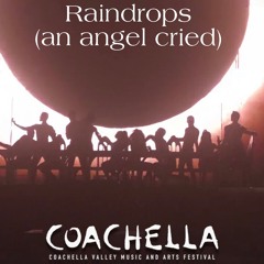 Ariana Grande - raindrops(an angel cried) (Coachella Version)
