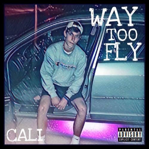Way Too Fly