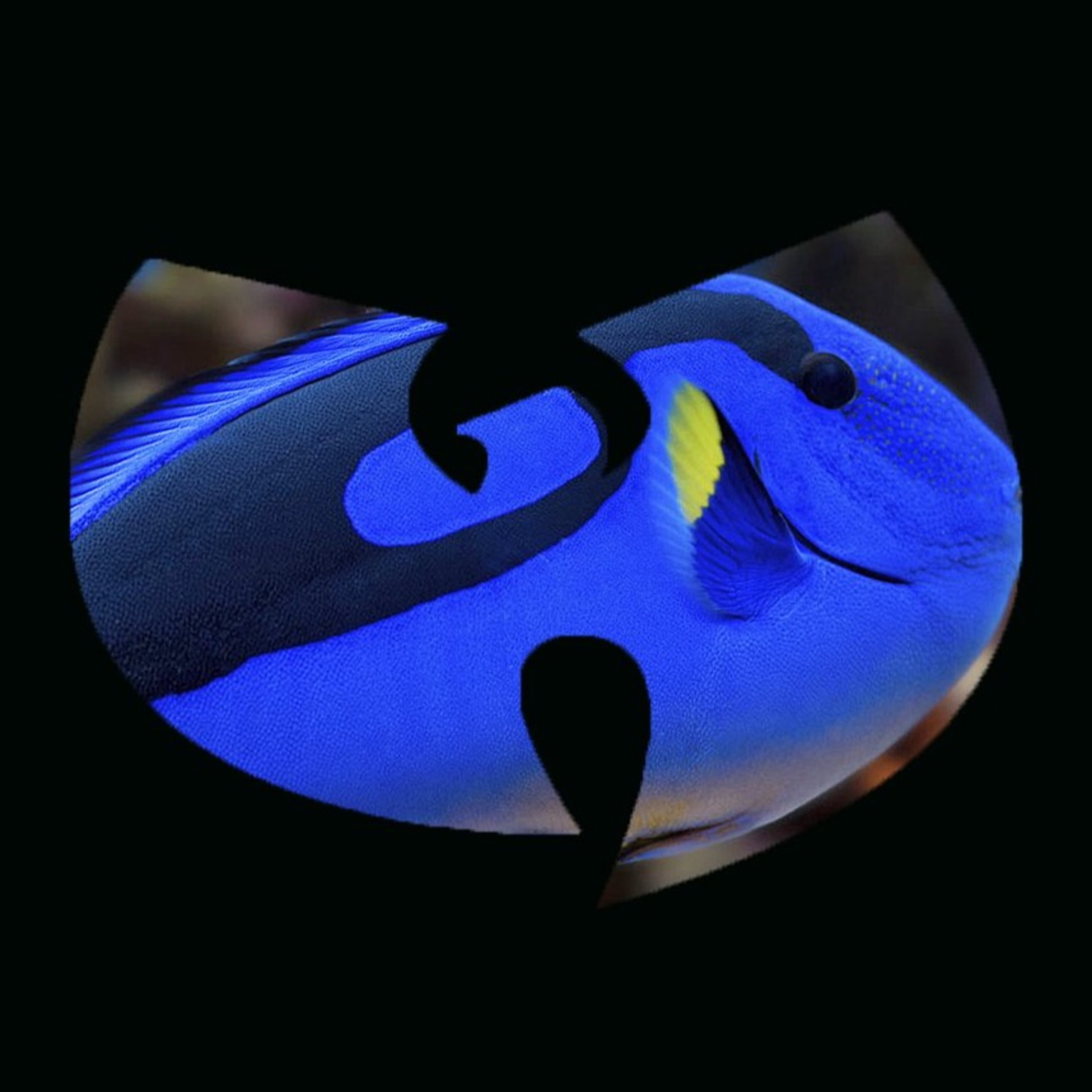 FRESH ROYALE BLUE AKA DANG COMMIUNIST\'S SOUNDCLOUD TRACKS