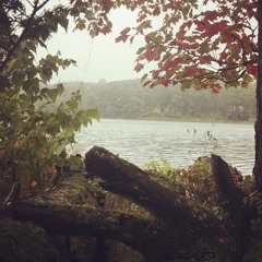 It's These Bittersweet Beginnings