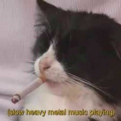 Funeralopolis-Electric Wizard (Acoustic cover)