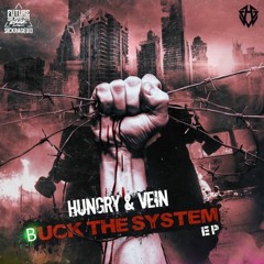 [HC] Hungry & Vein, Antivolt - Fuck You Feat. Antivolt (Future Sickness Records)