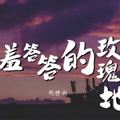 杨胖雨 - 羞答答的玫瑰静悄悄地开【動態歌詞/Lyrics Video】