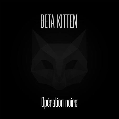 Opération Noire