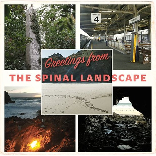 The Spinal Landscape