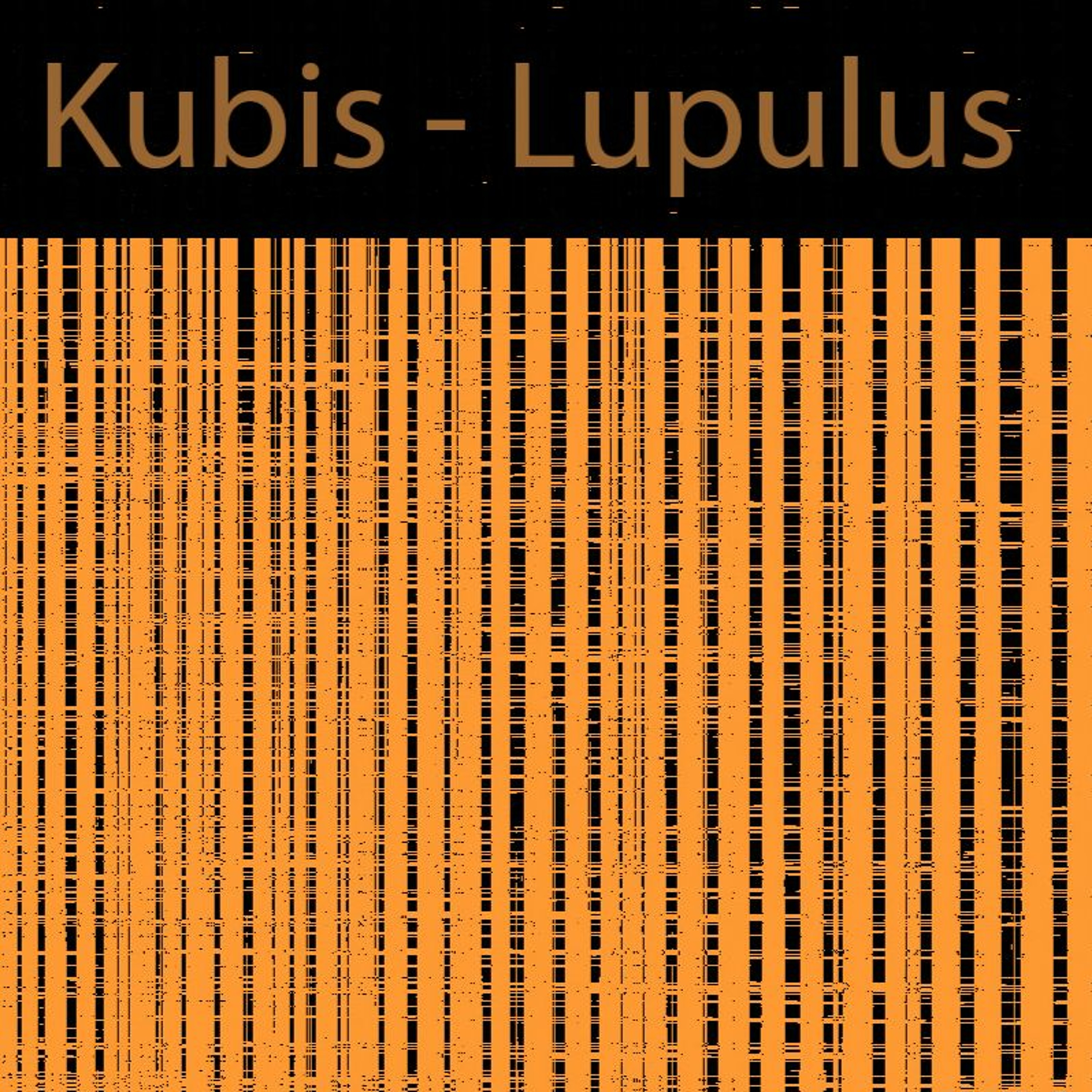 Kubis