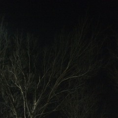 DREAMS ( BONES MIX )