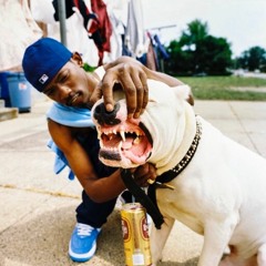 In the Hood
