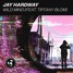 Jay Hardway - Wild Mind (Alex from Space remix)
