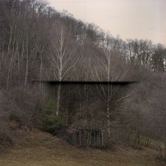 SIL_18 Le Cycle du Temps Élastique