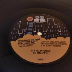 Soulphiction - Feelin Good (12'' - LTLP012, Side B) 2019