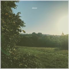 Dawn