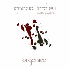 Ignacio Tardieu - Magnetism