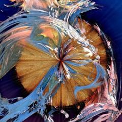 Meditations IV
