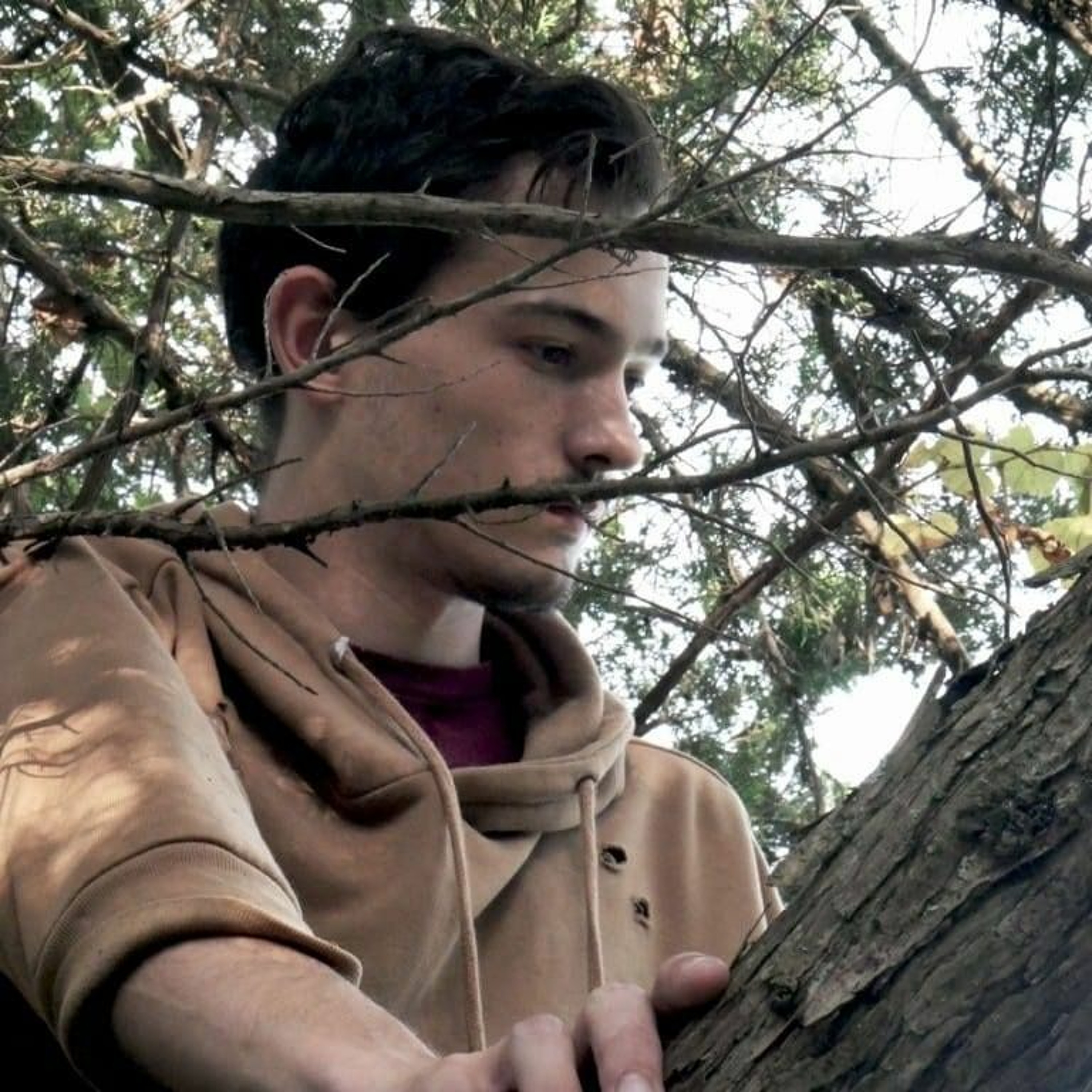 Jamison episode artwork