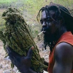 HERBAL HEALING RASTAFARI (marijuana)