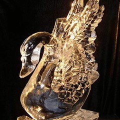 ICE SWAN