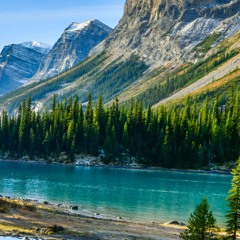 Runa Laila - Shadher Lau