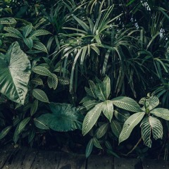 Jesus Lord, I Love You (original)