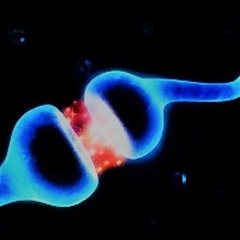 Coming Down (Melody of Memory)