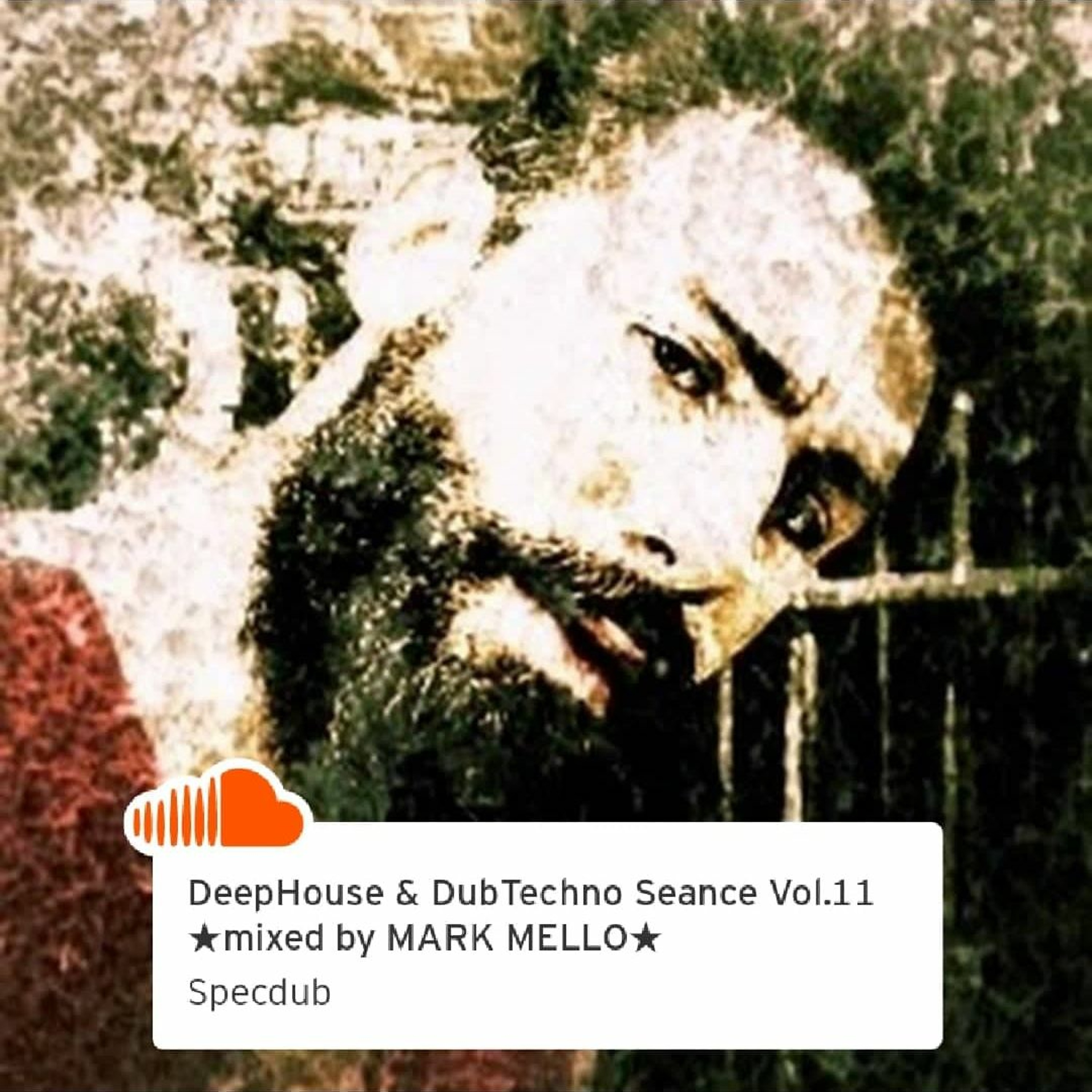 Specdub