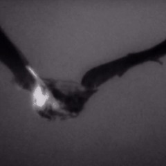 untitled.01
