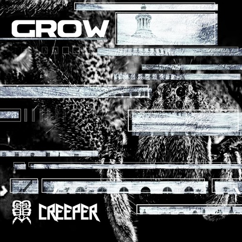 Creeper_FREE DOWNLOAD!