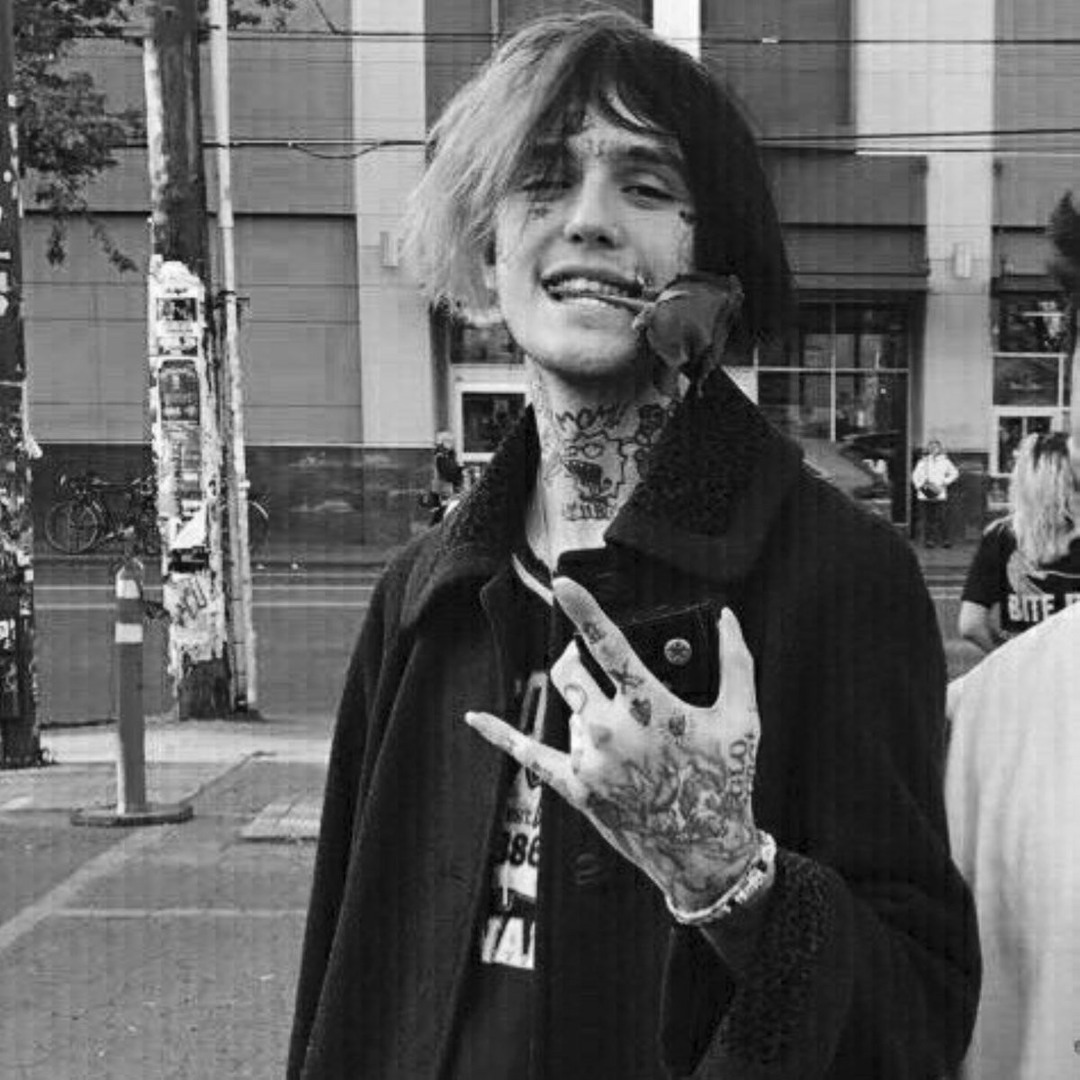 artworks-000645830683-ltcwdw-