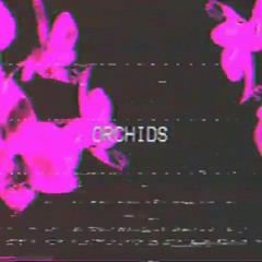 Orchids