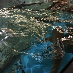 no longer you (ft. my uke) 2