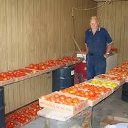 Stream how tf (prod. 'Lijah Wit tha Pinto Beans) by FOREHEAD GROUP