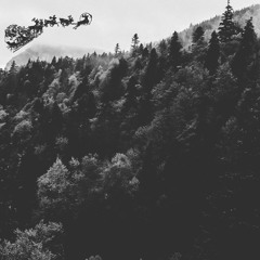 Have Yourself A Merry Little Christmas