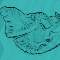 Both Shoes