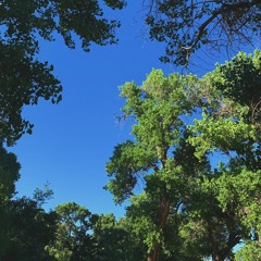 i think about you a lot. (now streaming)