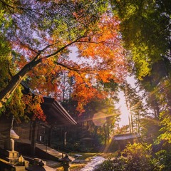 Sunny Monday