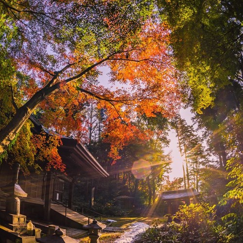 Sunny Monday
