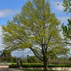 There Is A Song Within Me