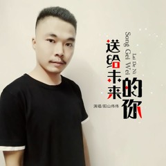 阳山伟伟 - 你的容颜