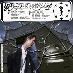 WPR01 / Various Artists / Wild Palms Vol. 1