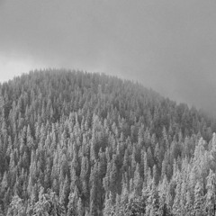 it was a white night