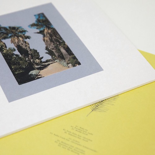 Into Auditory Cortex 2020