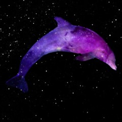 Braulio & Si Clone - Galactic Dolphins