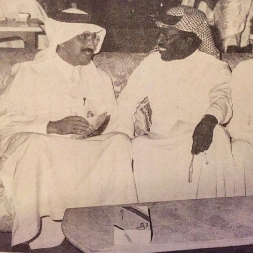 وفضلت وحيد والفكر شريد