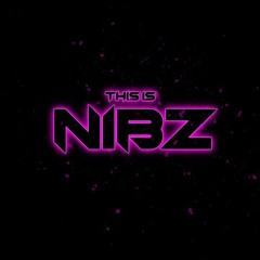 THIS IS NIBZ